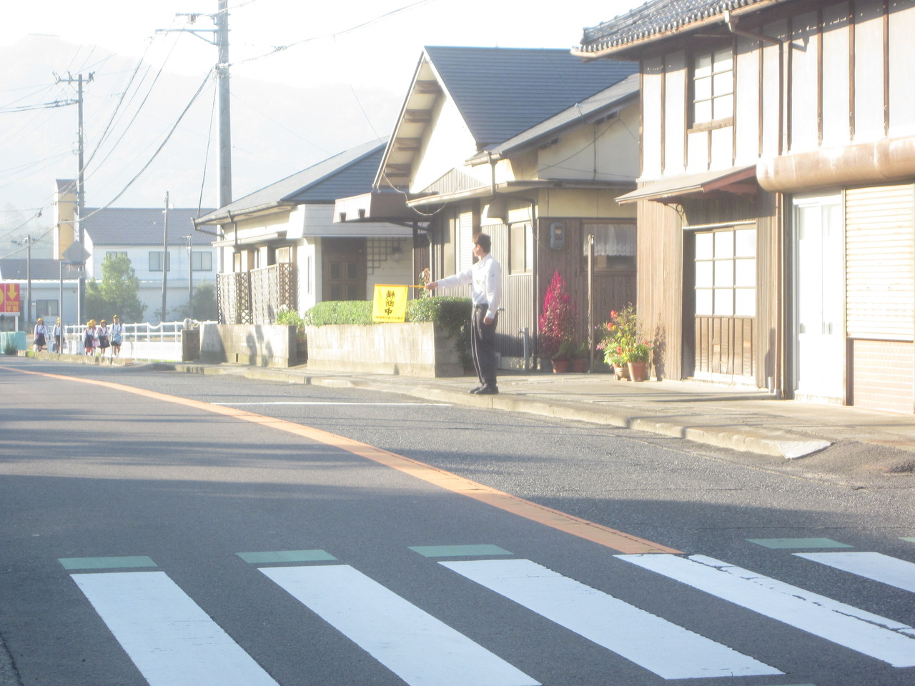 『ボランティア報告：ダルビッシュ横断歩道前に立つ！』